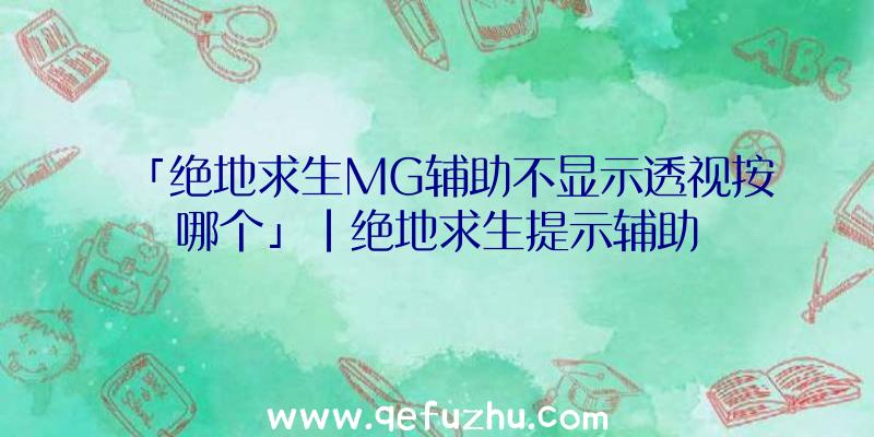 「绝地求生MG辅助不显示透视按哪个」|绝地求生提示辅助